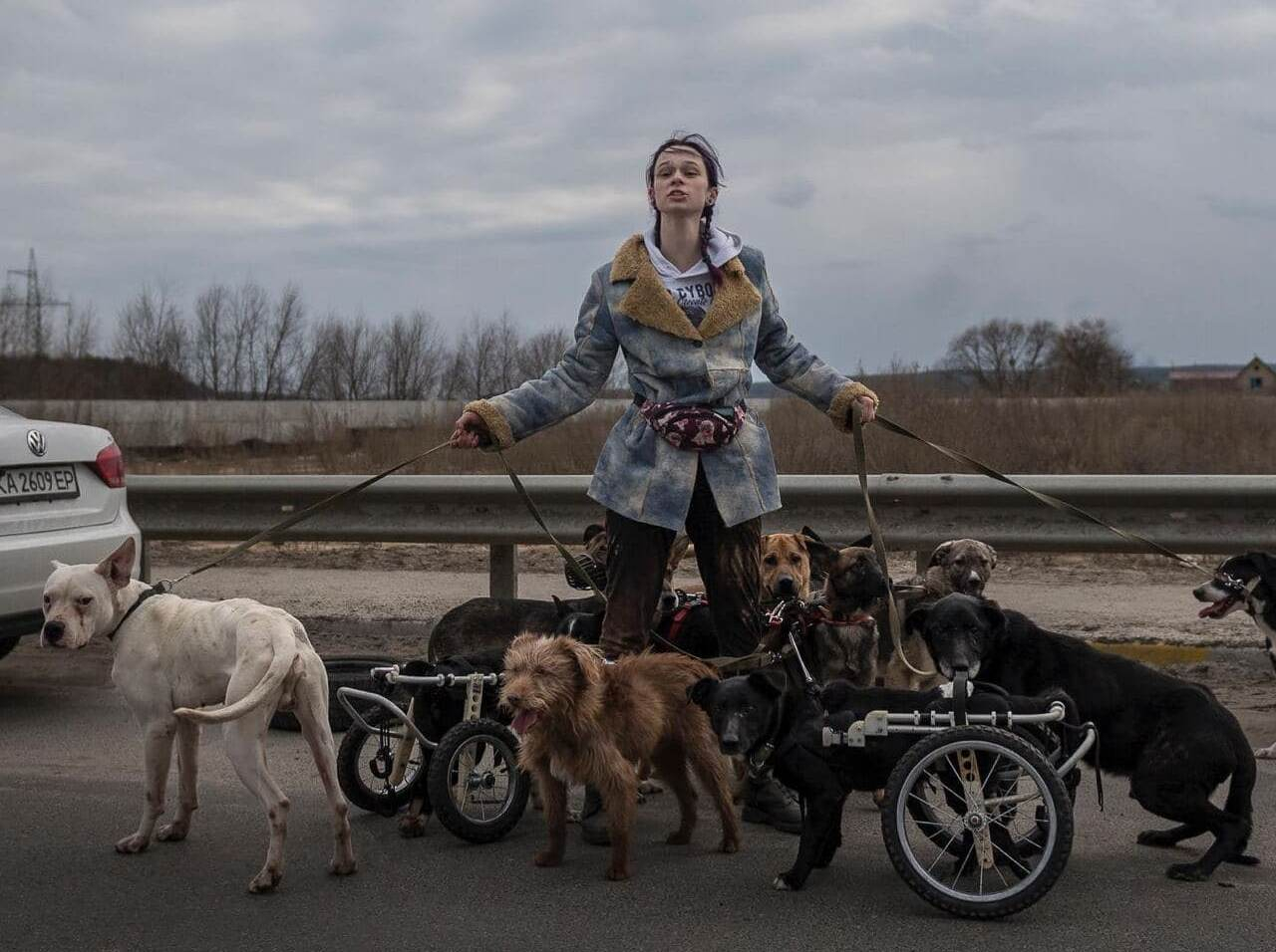 Біля Ірпеня жінка намагається врятувати собак з інвалідністю: промовисте фото - 24 Канал