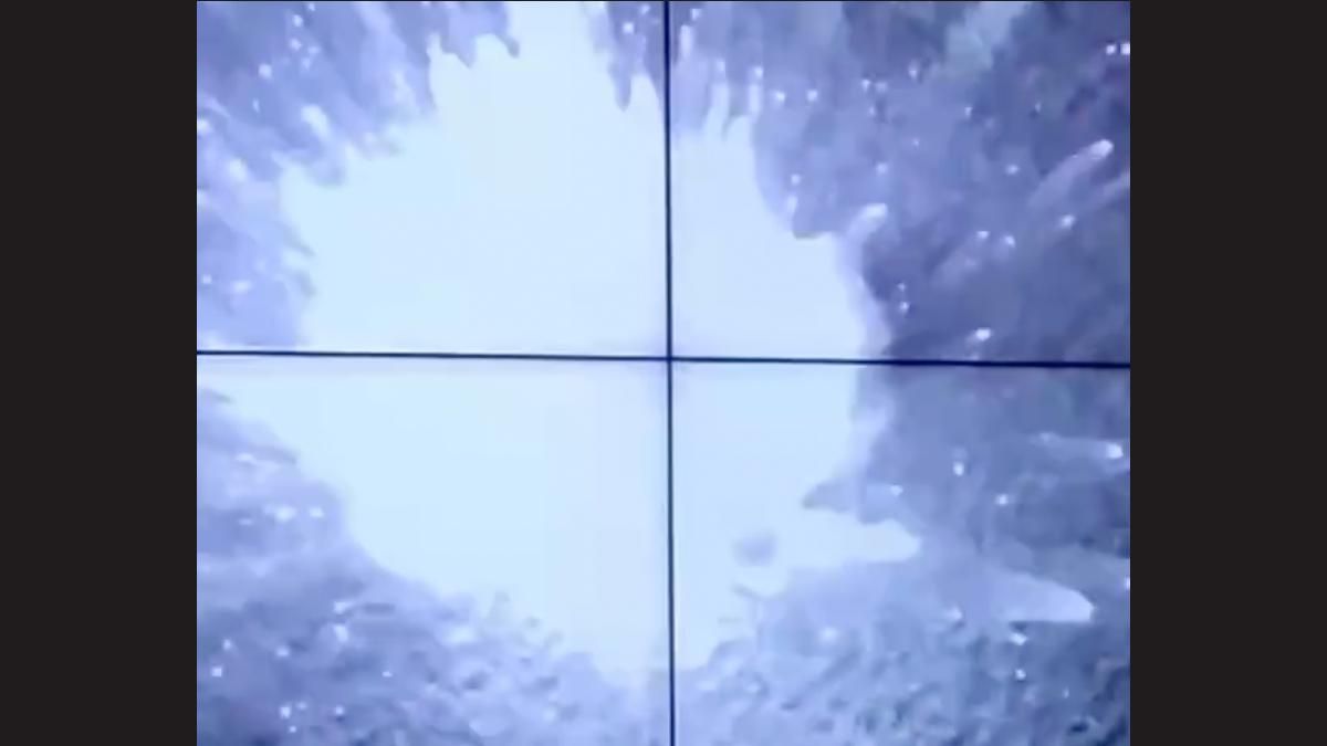 Bayraktar у дії: відео ювелірної роботи українських військових по ворожій техніці - 24 Канал Bayraktar у дії: відео ювелірної роботи українських військових по ворожій техніці - 24 Канал