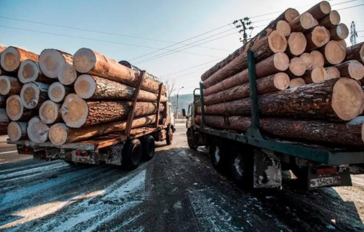 У Європі компанії відмовляються від російської деревини, але не всі - 24 Канал