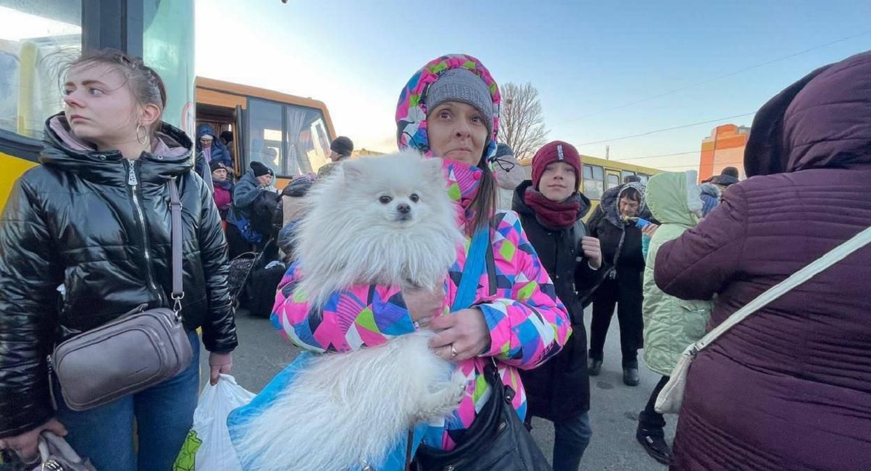 Евакуаційна колона з Бучі прибула в Білогородку: люди взяли зі собою домашніх улюбленців - 24 Канал Евакуаційна колона з Бучі прибула в Білогородку: люди взяли зі собою домашніх улюбленців - 24 Канал