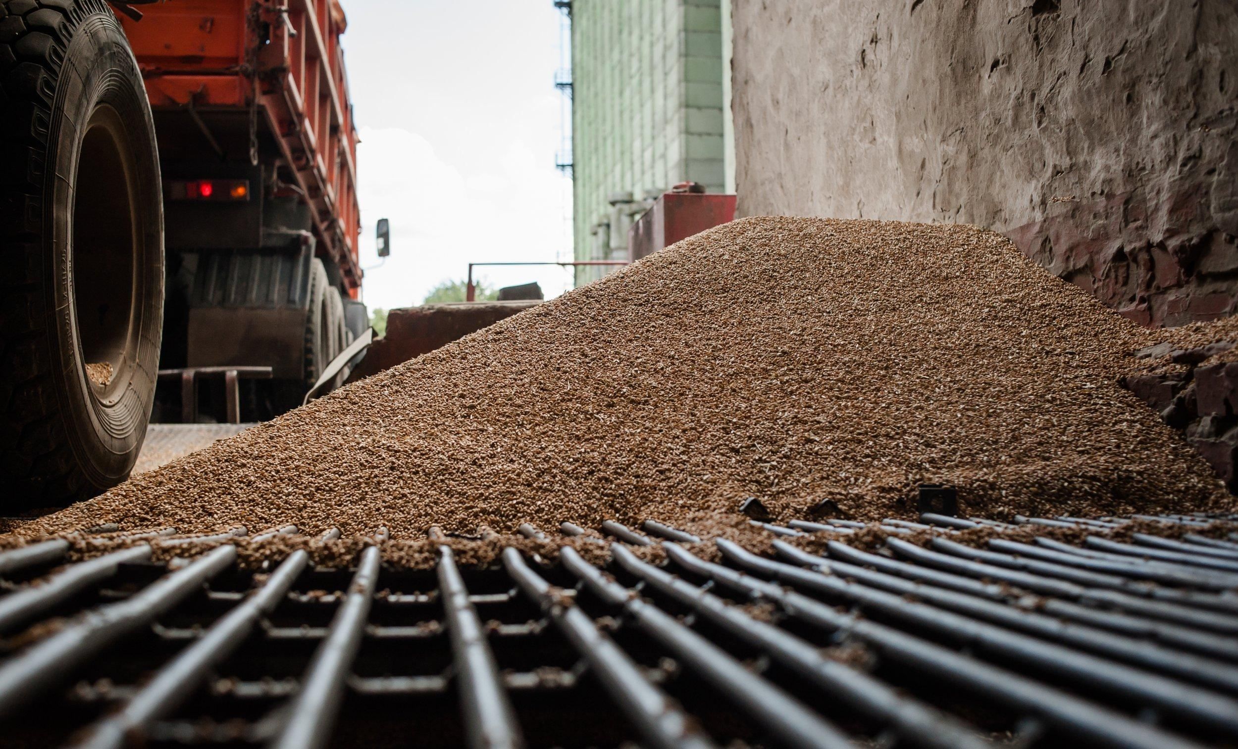 Россия до осени полностью запретила экспорт зерна своим ближайшим союзникам