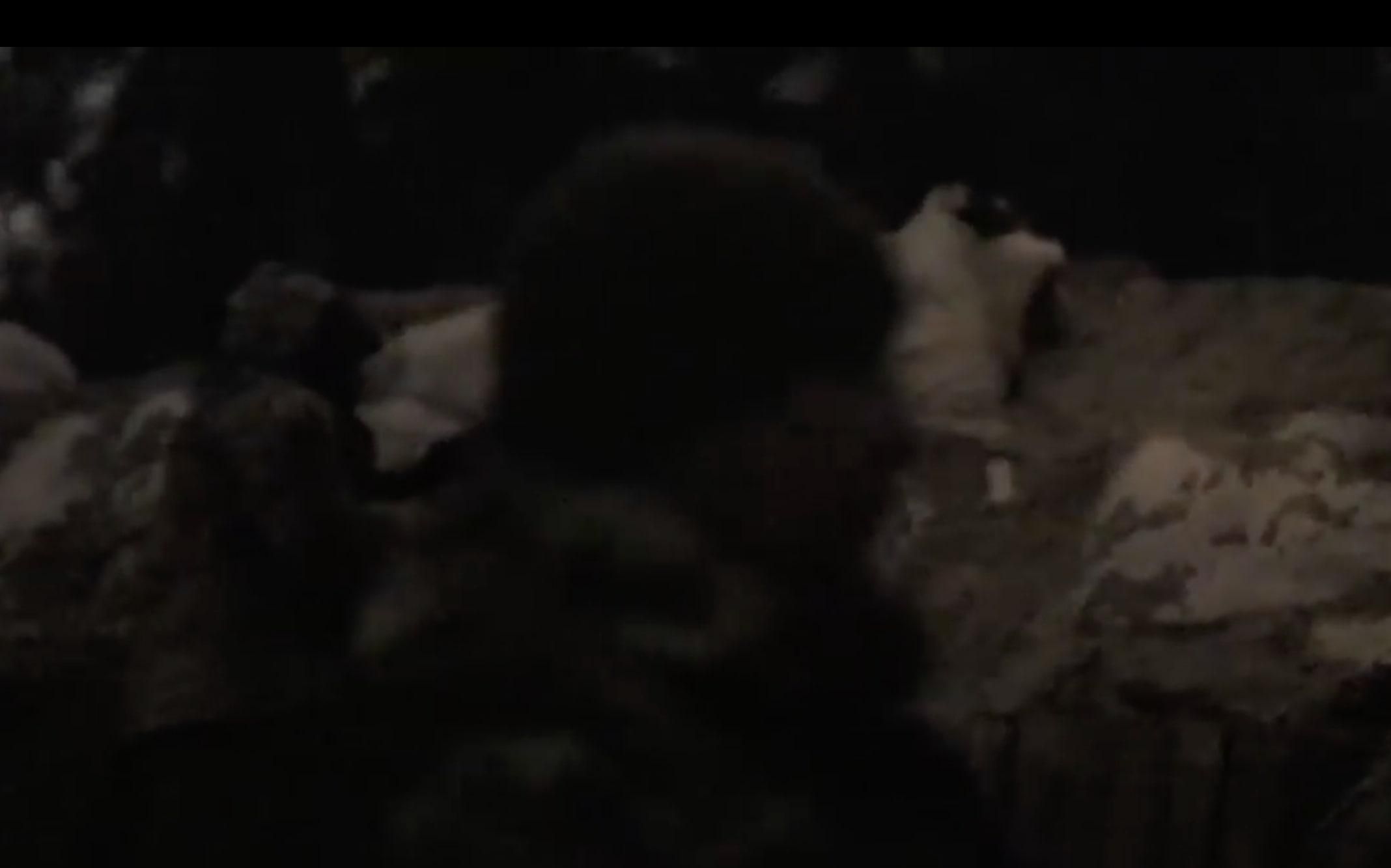 "Если пришли на нашу землю, будем на них охотиться": невероятно мощное видео наших защитников "Если пришли на нашу землю, будем на них охотиться": невероятно мощное видео наших защитников