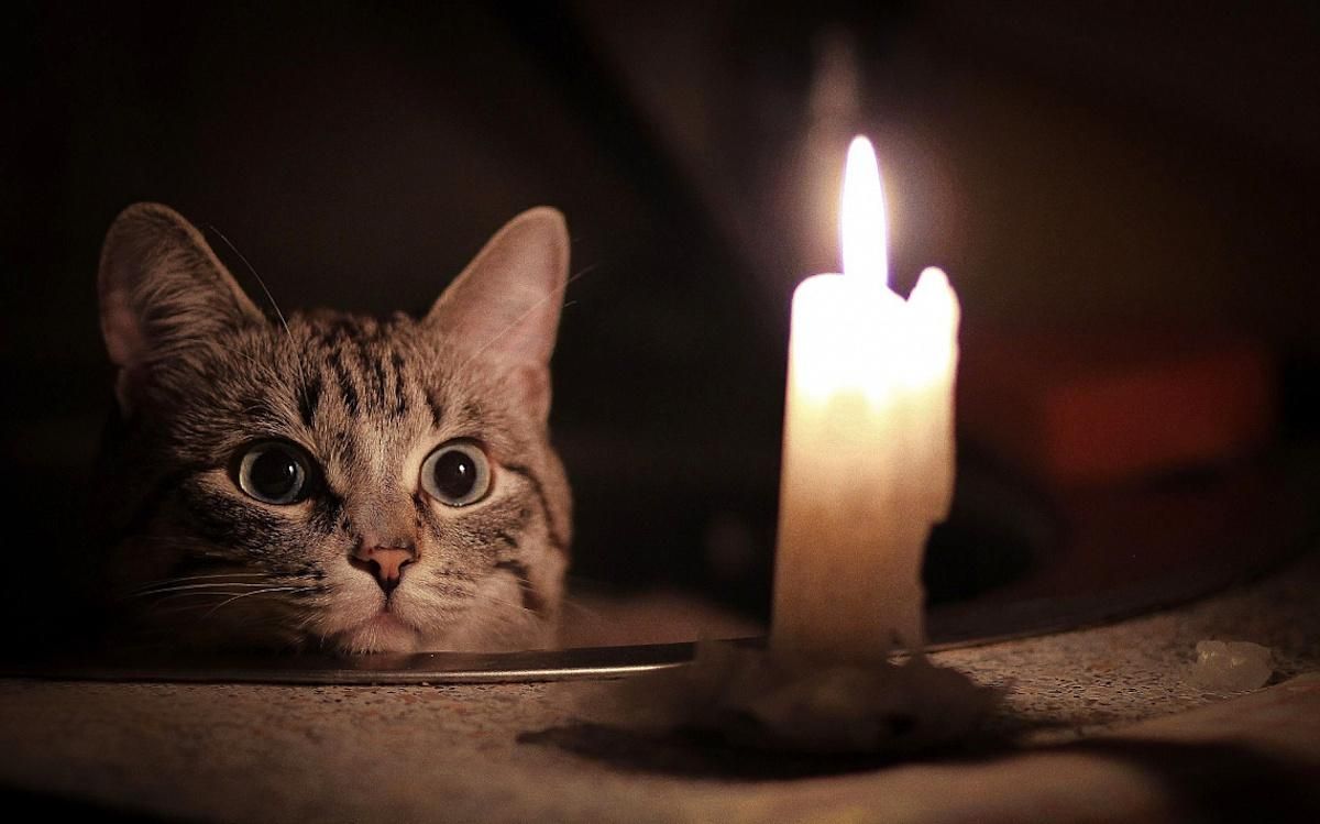 У Луганській області повністю знеструмлено 23 населені пункти, 22 залишилися без газу - 24 Канал У Луганській області повністю знеструмлено 23 населені пункти, 22 залишилися без газу - 24 Канал