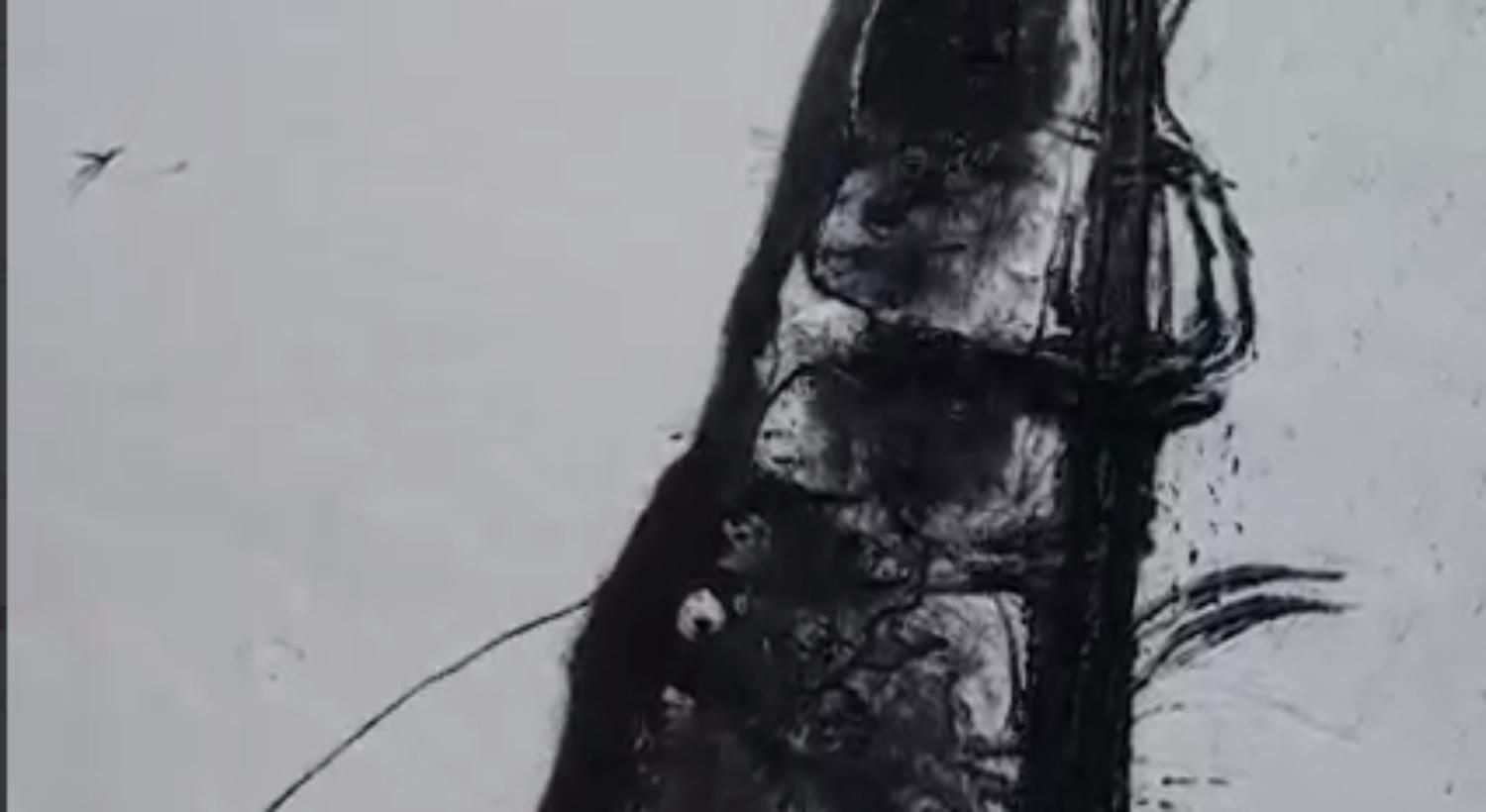 Батько загинув, а він продовжує нищити ворога: як нацгвардієць "Гром" пише воєнну історію - 24 Канал Батько загинув, а він продовжує нищити ворога: як нацгвардієць "Гром" пише воєнну історію - 24 Канал