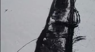 Батько загинув, а він продовжує нищити ворога: як нацгвардієць "Гром" пише воєнну історію 