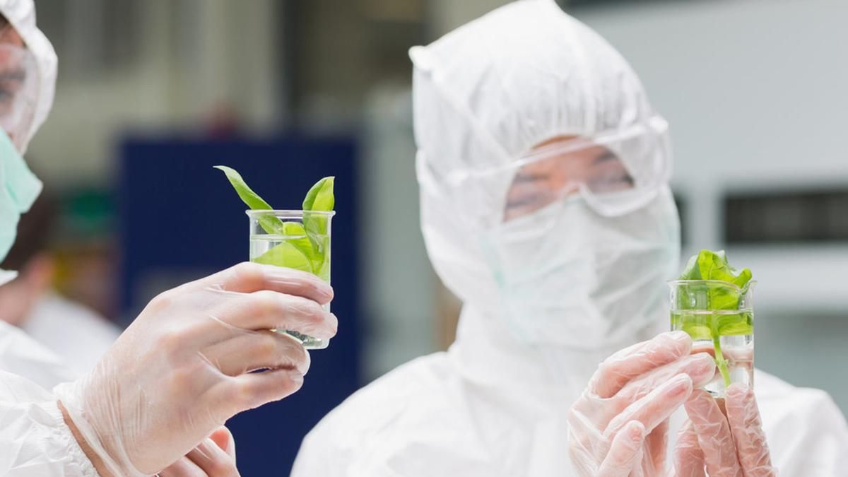 Российские биологи выступили с коллективным опровержением фейка о "химическом оружии" в Украине. Российские биологи выступили с коллективным опровержением фейка о "химическом оружии" в Украине.