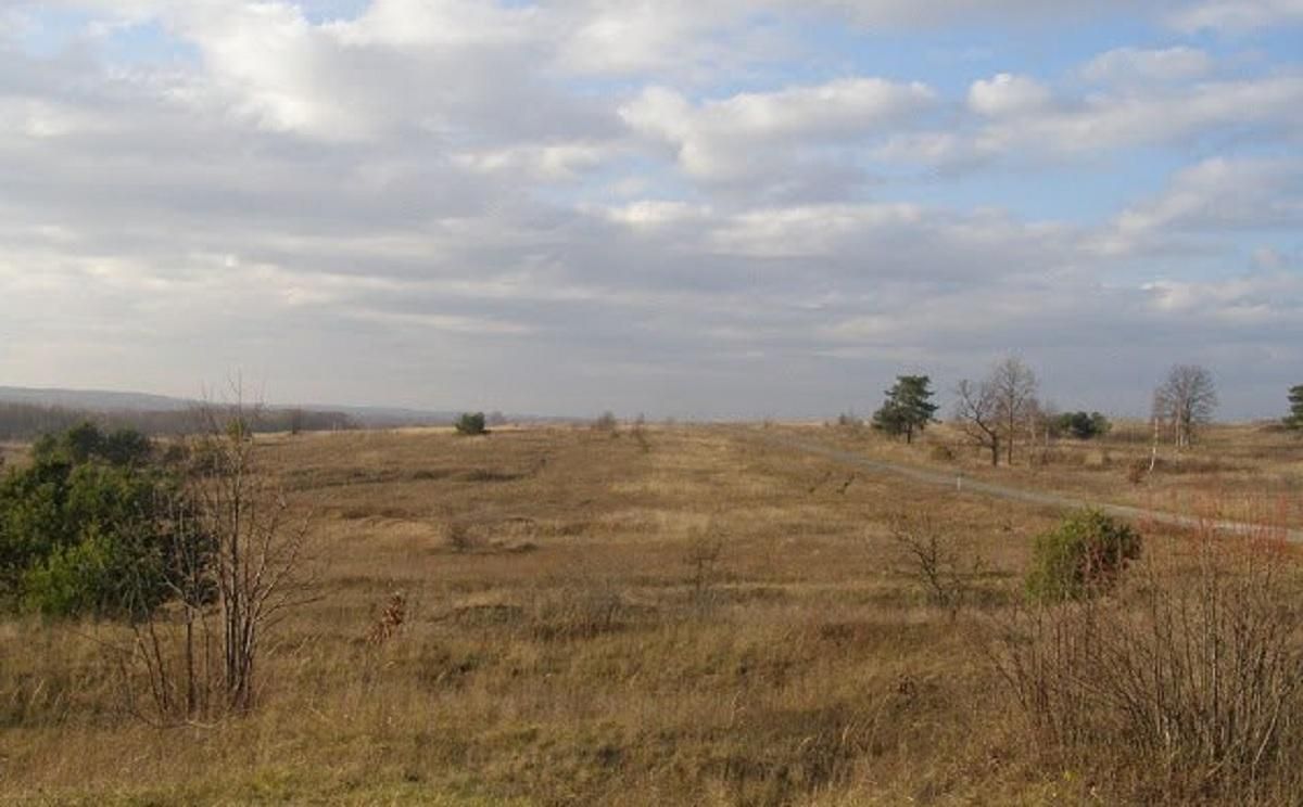 Ракетний удар на Львівщині здійснили по одній з військових частин, попередньо – без загиблих - 24 Канал Ракетний удар на Львівщині здійснили по одній з військових частин, попередньо – без загиблих - 24 Канал