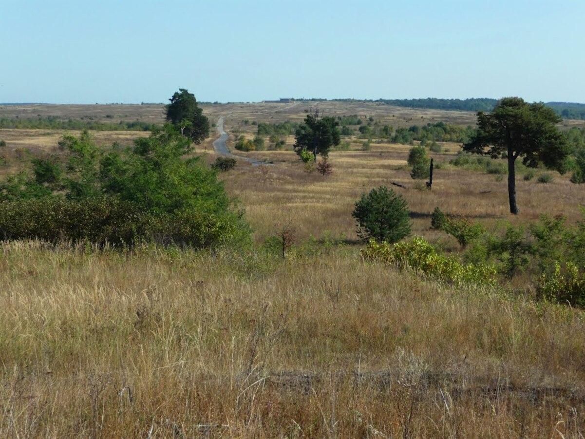 Война ближе, чем вам кажется: Садовый напомнил, что от Яворова до НАТО 20 километров - 24 Канал Война ближе, чем вам кажется: Садовый напомнил, что от Яворова до НАТО 20 километров - 24 Канал