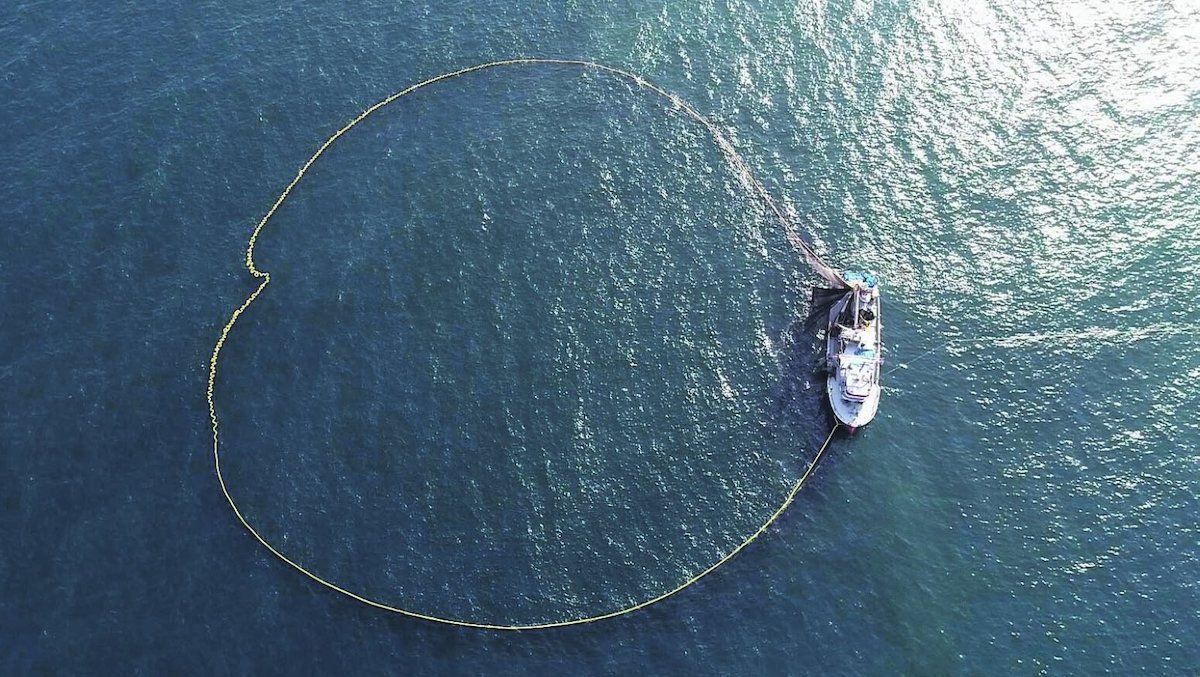 Российские ВМС отрезали Украину от международной морской торговли, – минобороны Британии - 24 Канал Российские ВМС отрезали Украину от международной морской торговли, – минобороны Британии - 24 Канал