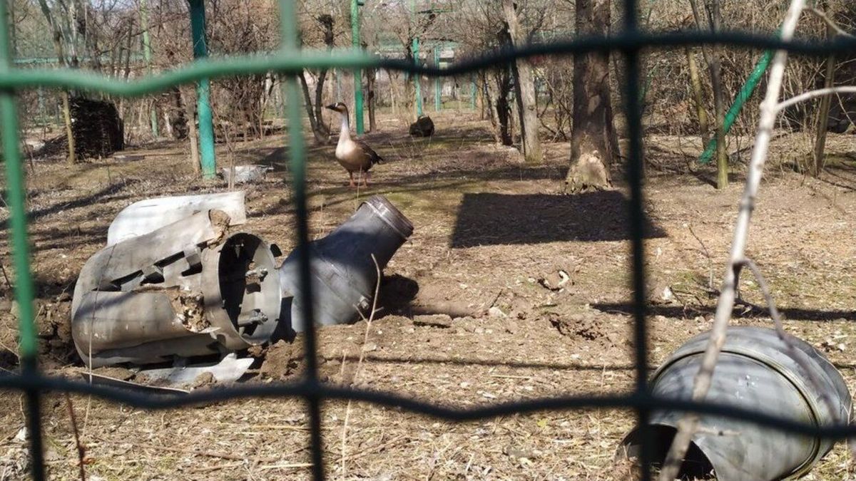 "Покинути все це ми не можемо": Миколаївський зоопарк потребує допомоги - 24 Канал