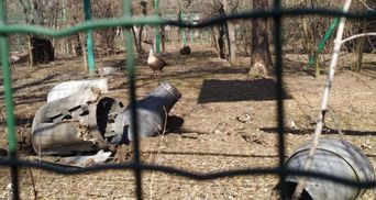 "Покинути все це ми не можемо": Миколаївський зоопарк потребує допомоги