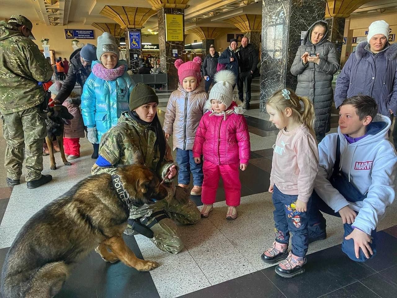Терапія для малечі: у Києві кінологи з собаками допомагають дітям, емоційні фото - 24 Канал