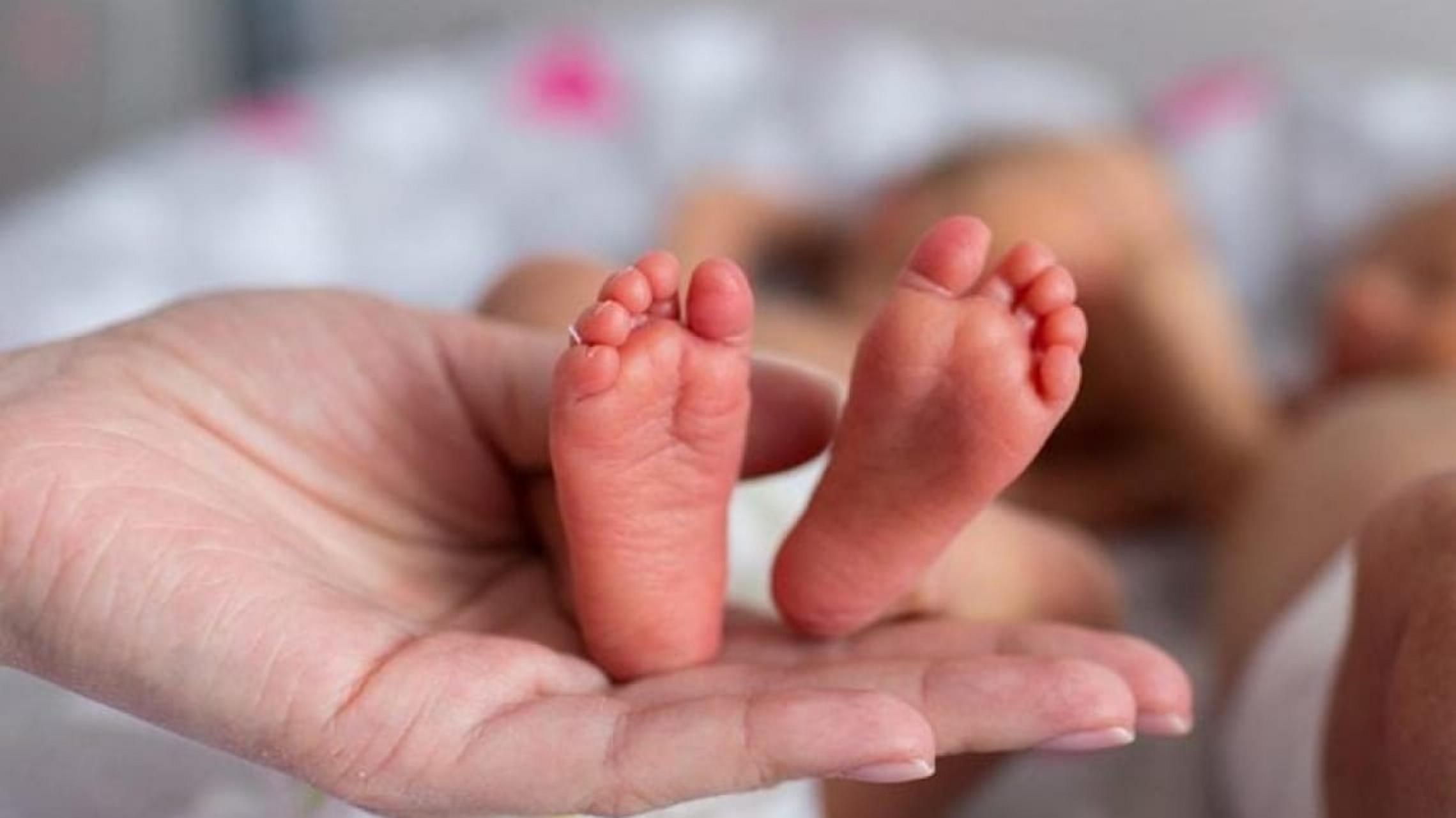 З Лисичанська до Дніпра евакуювали 4 передчасно народжених малюків - 24 Канал