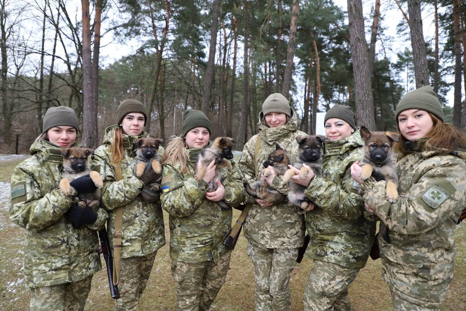 Прикордонники дали поради, як допомогти собакам під час війни - 24 Канал