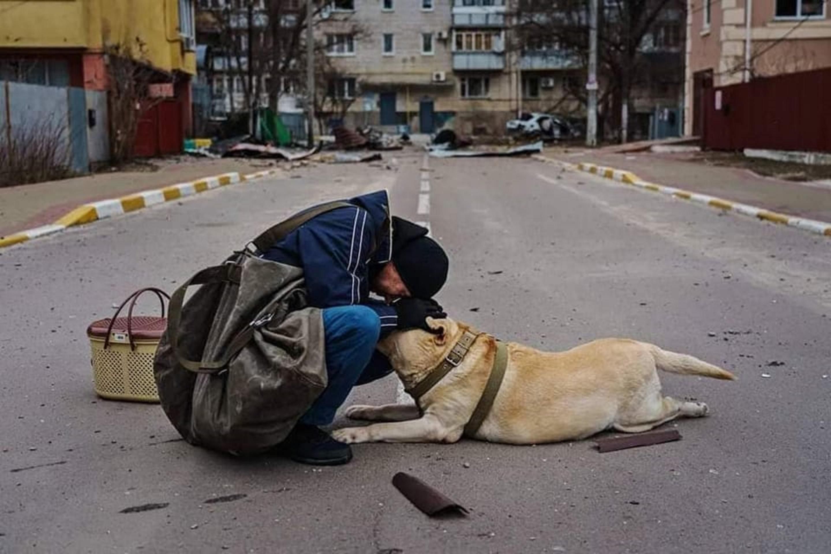 Фото дня: мужчина после обстрела пытается утешить свою напуганную собаку - 24 Канал