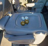 На Житомирщині у водія вилучили бойові ручні гранати