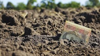 Платників звільнили від сплати за землю, що розташована в зоні бойових дій