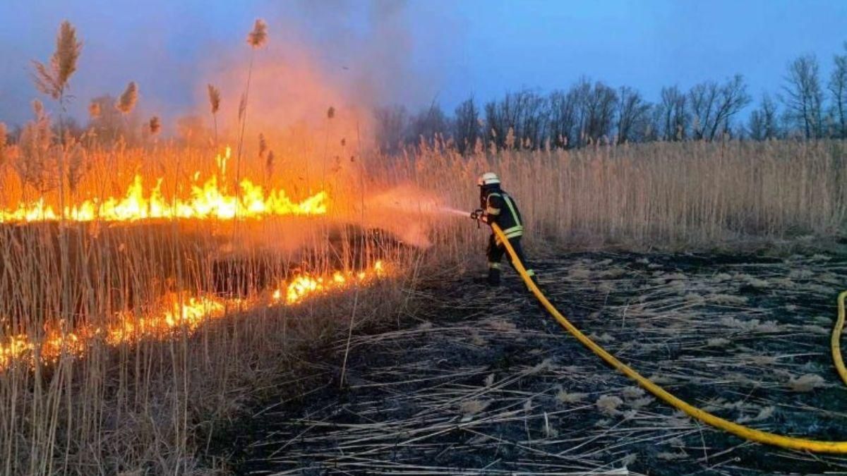 В ГСЧС в очередной раз призвали людей не жечь траву, потому что некому на вызовы выезжать В ГСЧС в очередной раз призвали людей не жечь траву, потому что некому на вызовы выезжать