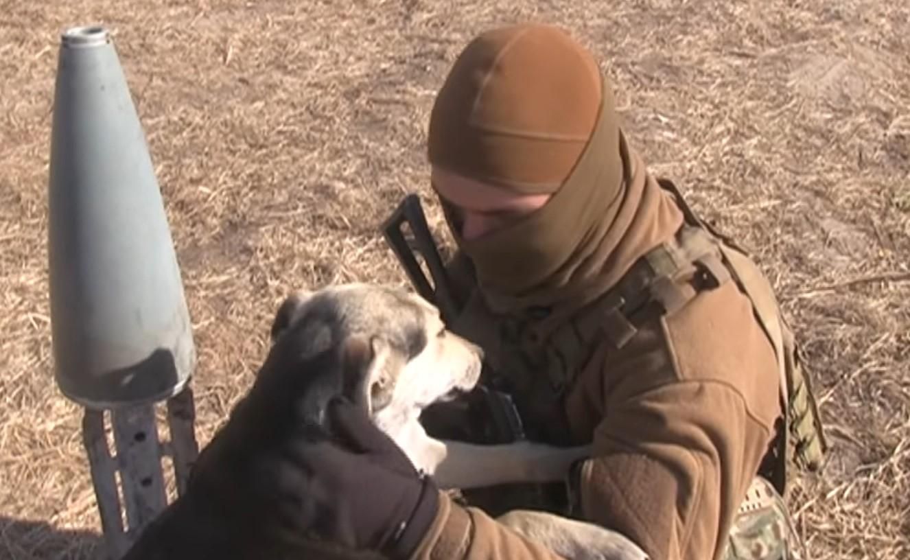 Четвероногий собрат захотел объятий и прервал интервью украинского воина: милое видео