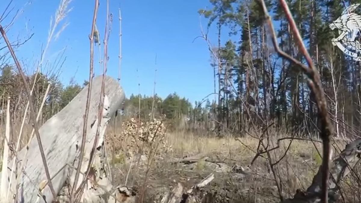 Сили спецоперацій ЗСУ ліквідували російський "Тигр" з високопосадовцем: захопливе відео - 24 Канал