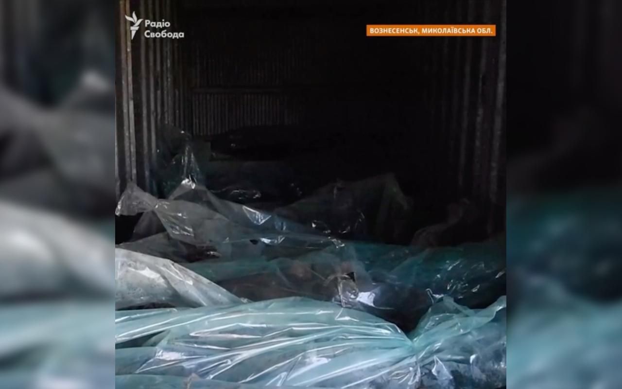 "Ті, що хотіли наступити на Вознесенськ, їдуть "вантажем 200" – відео про знищеного ворога - 24 Канал "Ті, що хотіли наступити на Вознесенськ, їдуть "вантажем 200" – відео про знищеного ворога - 24 Канал