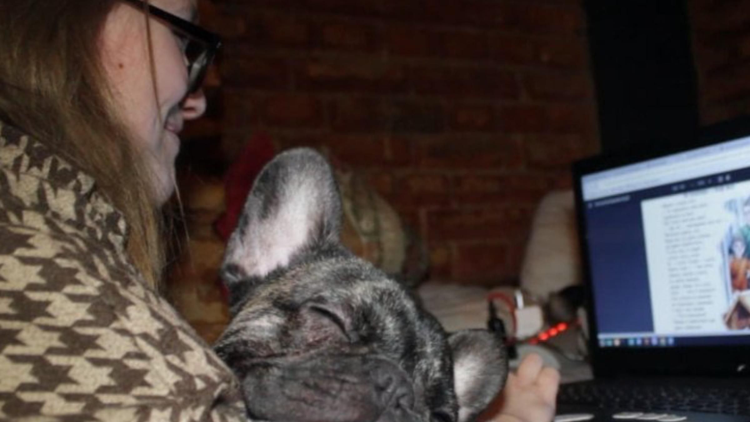 На уроки — з укриття: як вчителька з Харкова навчає дітей під час війни - 24 Канал На уроки — з укриття: як вчителька з Харкова навчає дітей під час війни - 24 Канал