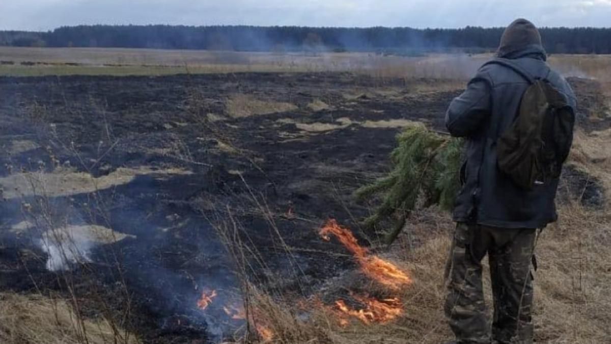 Нема причин для паніки: у ДСНС не фіксують пожежі в екосистемах, у Зоні відчуження та біля ЧАЕС - 24 Канал