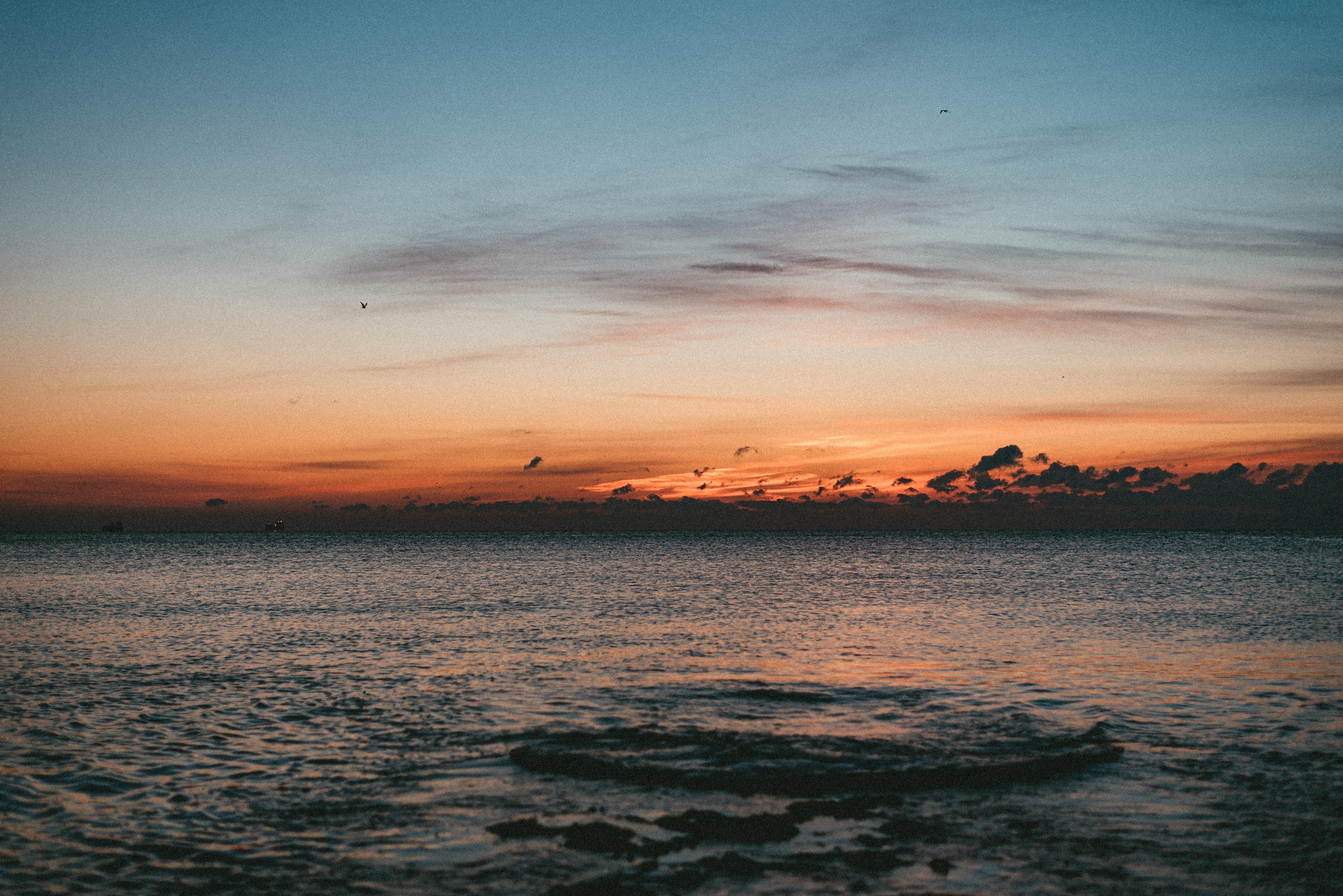 Росія могла замінувати шляхи від Босфору до Одеси й збрехати, що це українські міни - 24 Канал Росія могла замінувати шляхи від Босфору до Одеси й збрехати, що це українські міни - 24 Канал