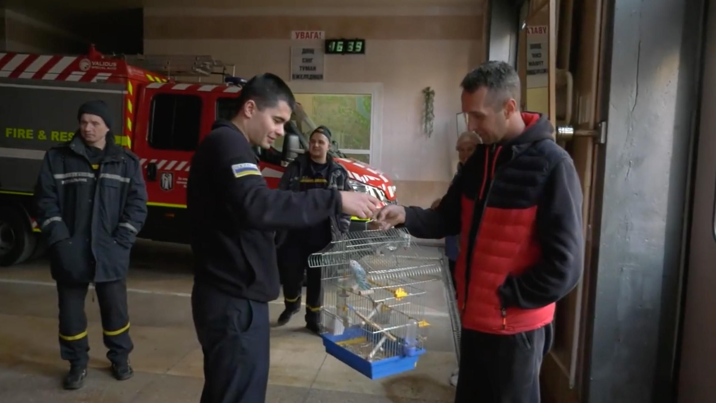 Пережив ракетну атаку: папуга, якого знайшли рятувальники, повернувся до господарів - 24 Канал Пережив ракетну атаку: папуга, якого знайшли рятувальники, повернувся до господарів - 24 Канал