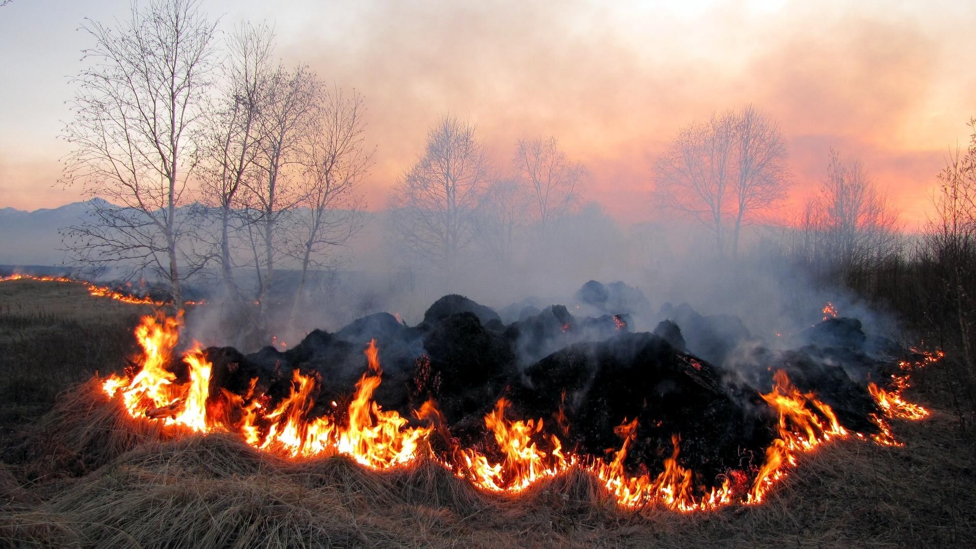 На Львівщині за минулу добу зареєстрували 74 пожежі сухої трави - 24 Канал