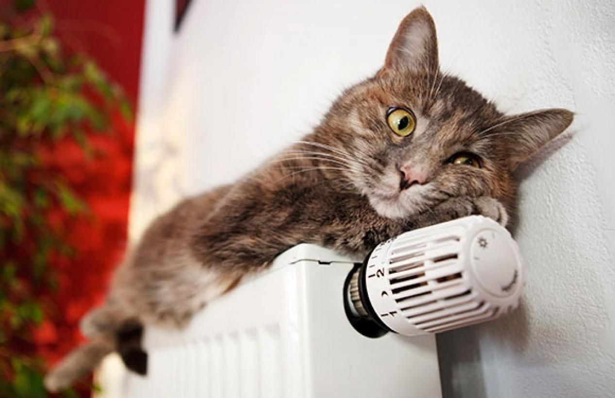 У Миколаєві тимчасово призупинена одна котельня: усе через перебої на лініях електропередач - 24 Канал У Миколаєві тимчасово призупинена одна котельня: усе через перебої на лініях електропередач - 24 Канал