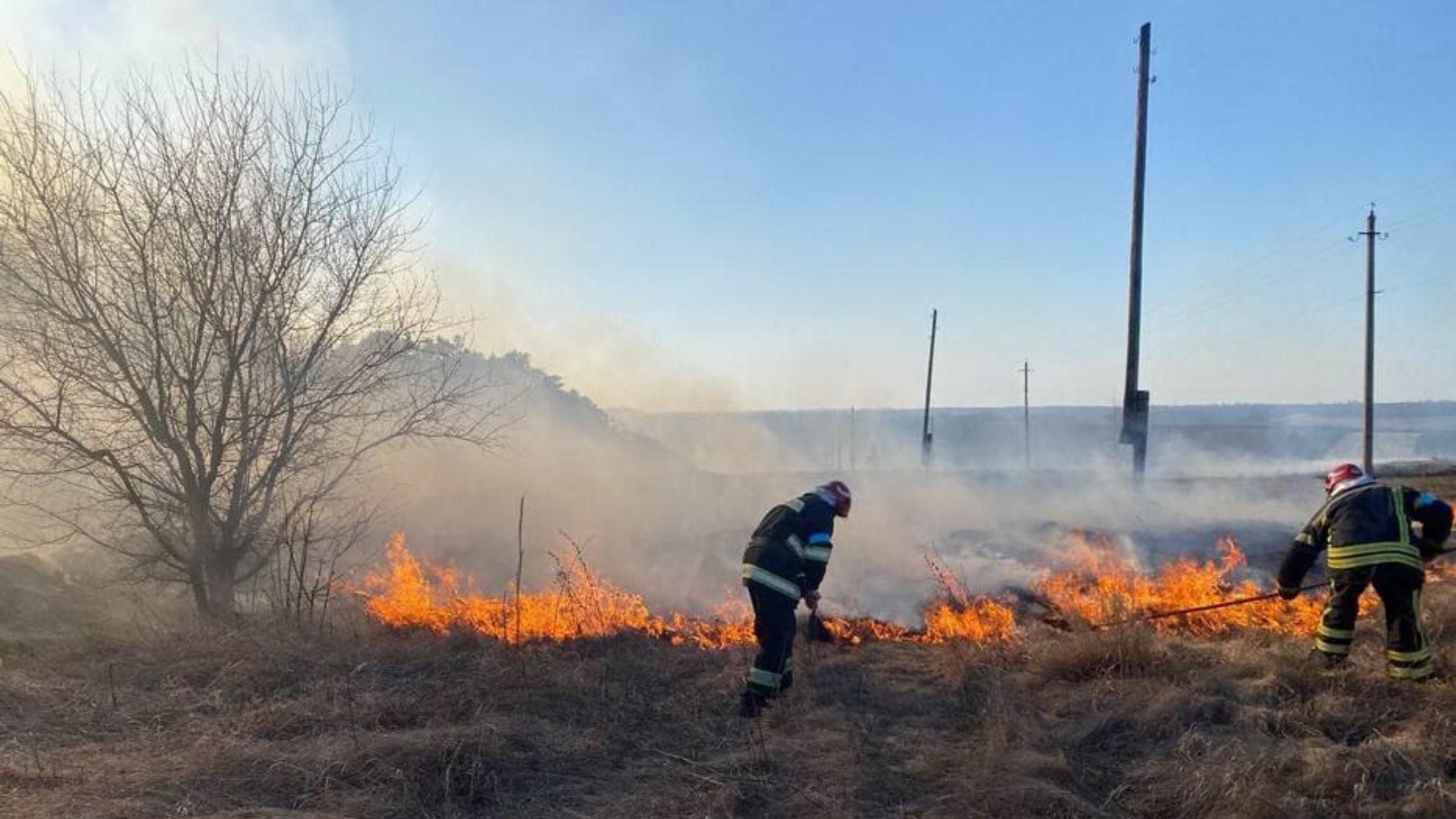 127 гектарів родючого ґрунту винищено за добу: на Вінниччині паліїв трави назвали диверсантами - 24 Канал