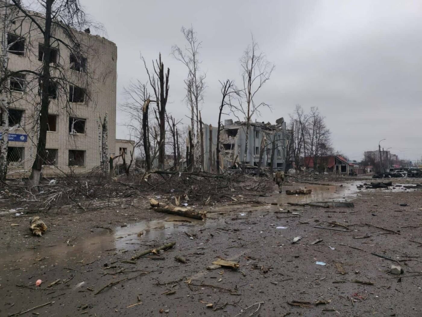 Агонічні обстріли ворога: Чаус розповів про вогонь окупантів по Ніжину та Чернігову - 24 Канал