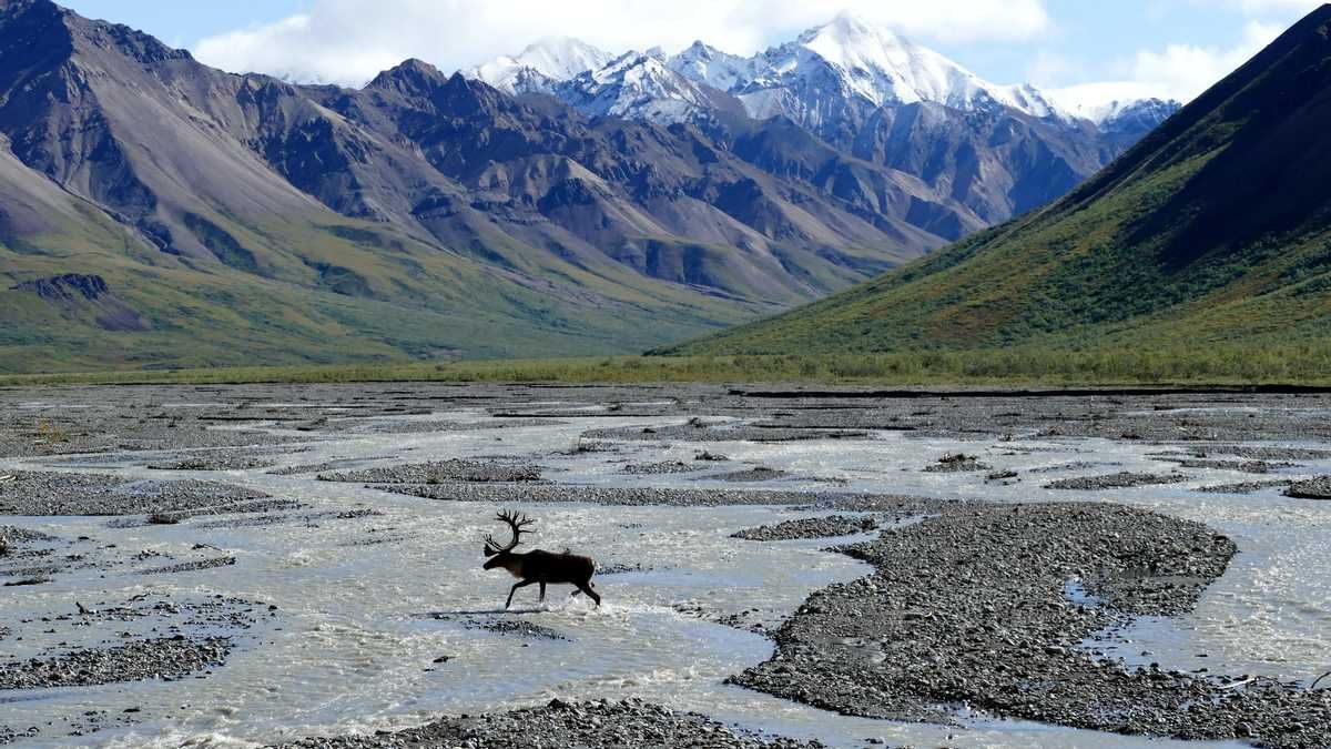 Фактор Аляски й зради: історикиня розповіла, що впливає на мотивацію Путіна та як діяти Заходу - 24 Канал