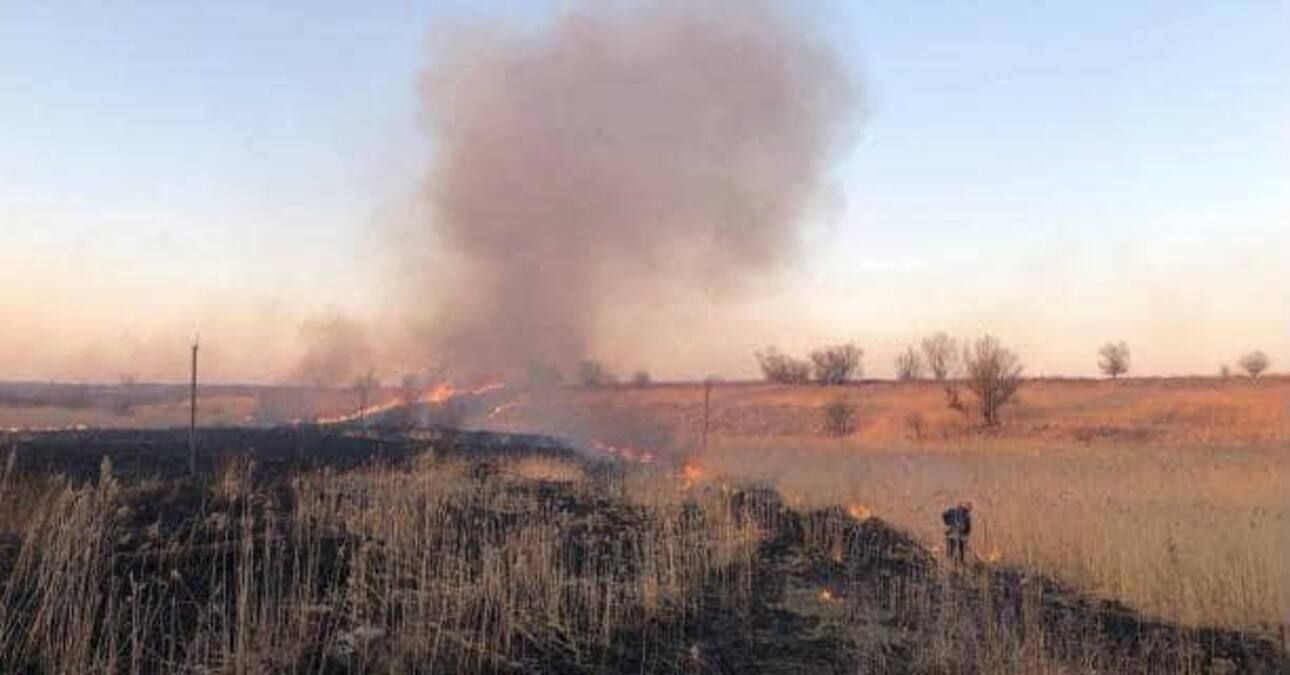На Львівщині паліїв сухої трави виявляють рейдові групи: що загрожує порушникам - 24 Канал На Львівщині паліїв сухої трави виявляють рейдові групи: що загрожує порушникам - 24 Канал