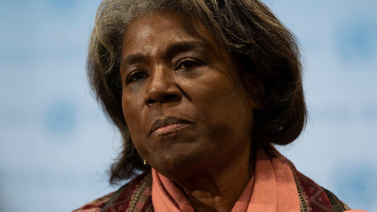 Україна сама вирішить, що для неї "надто багато", – посол США в ООН про ймовірні поступки Росії - 24 Канал