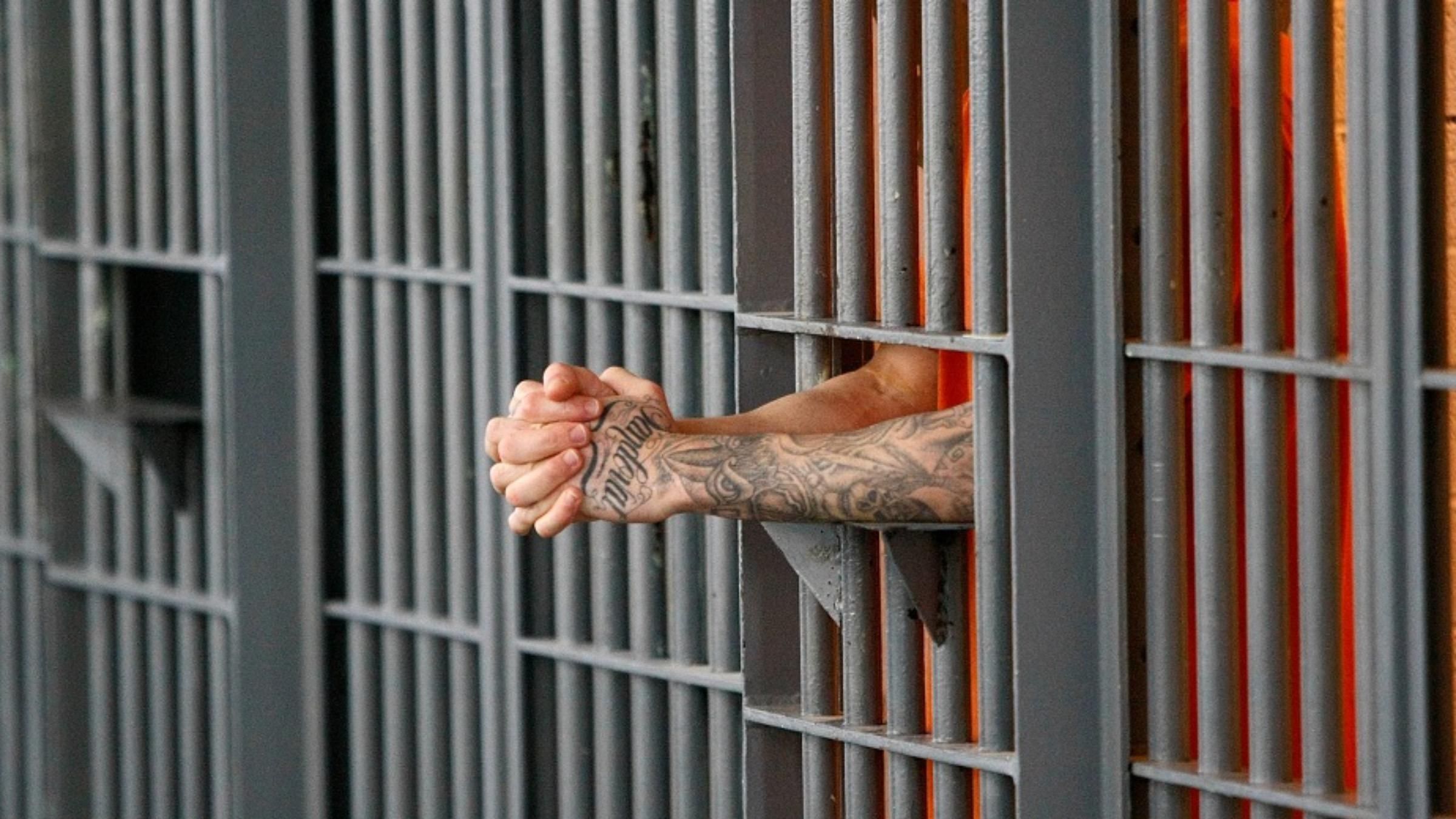 Нідерландський суд звільнив 2 українських ув'язнених, щоб вони могли піти на війну проти Росії - 24 Канал Нідерландський суд звільнив 2 українських ув'язнених, щоб вони могли піти на війну проти Росії - 24 Канал