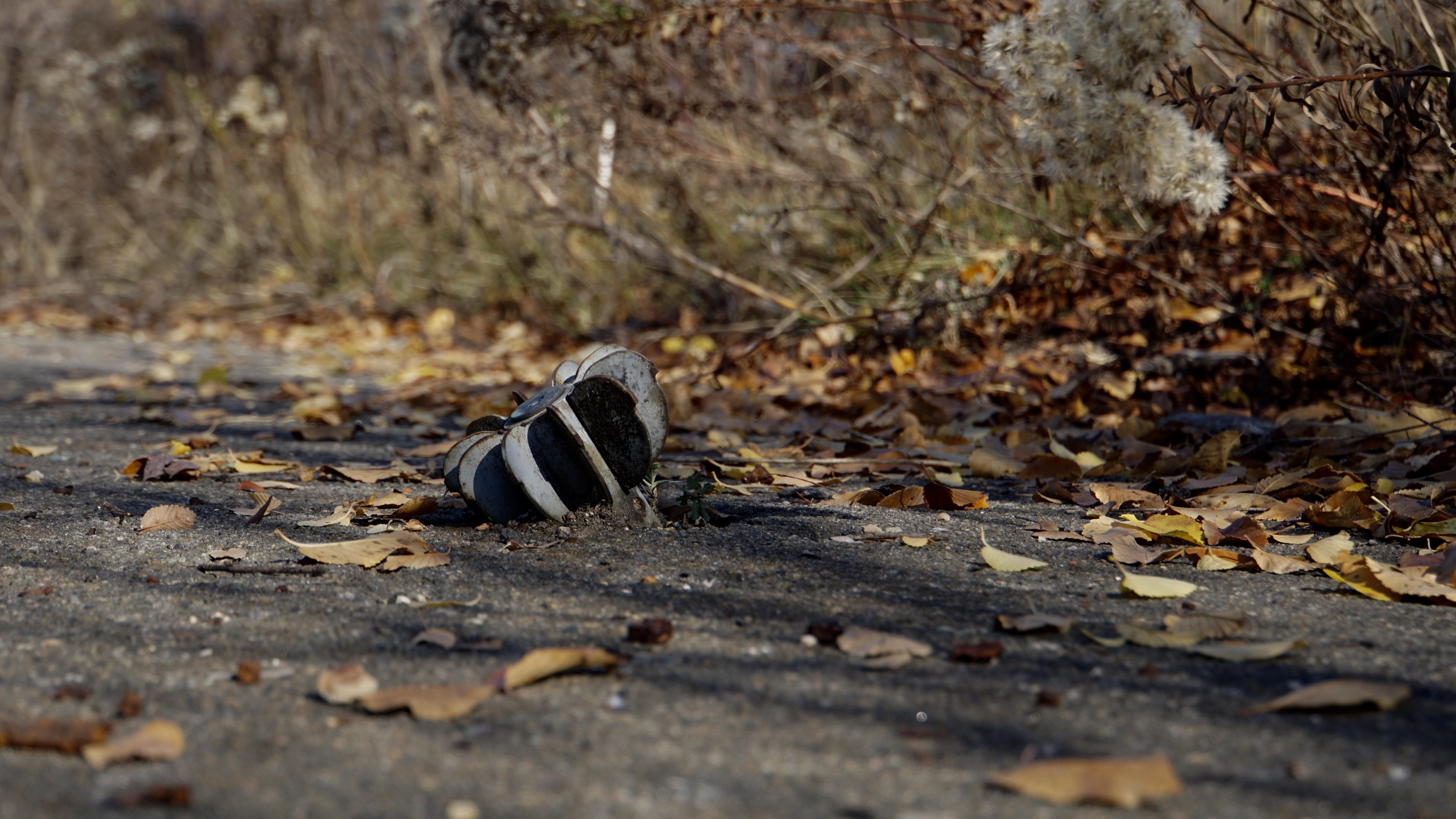 Сапери порахували, що 14% території України треба розмінувати - 24 Канал Сапери порахували, що 14% території України треба розмінувати - 24 Канал