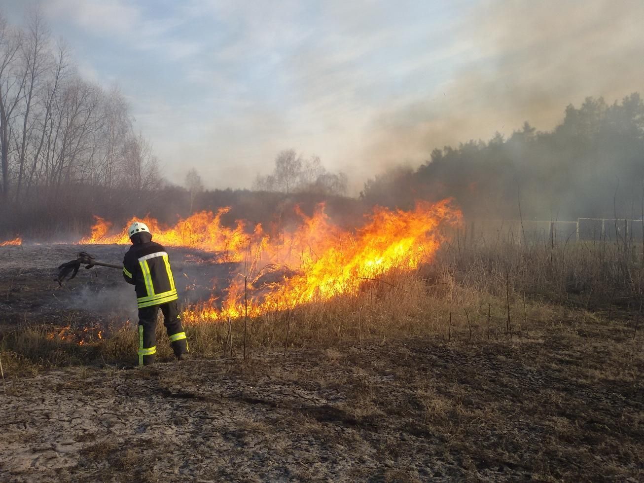 Допалилися: через підпал трави вимкнули живлення у частині Прикарпаття - 24 Канал