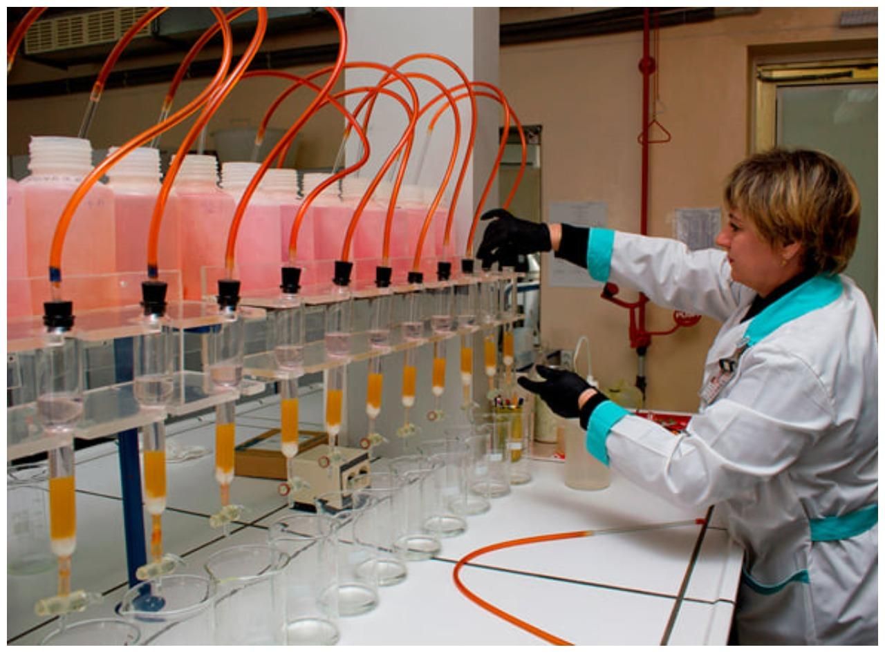 Россияне разграбили новейшую лабораторию в Чернобыле стоимостью 6 миллионов евро - 24 Канал Россияне разграбили новейшую лабораторию в Чернобыле стоимостью 6 миллионов евро - 24 Канал