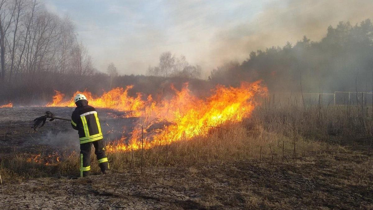 Мэр Франковска обещает 10 тысяч гривен за пойманных поджигателей травы