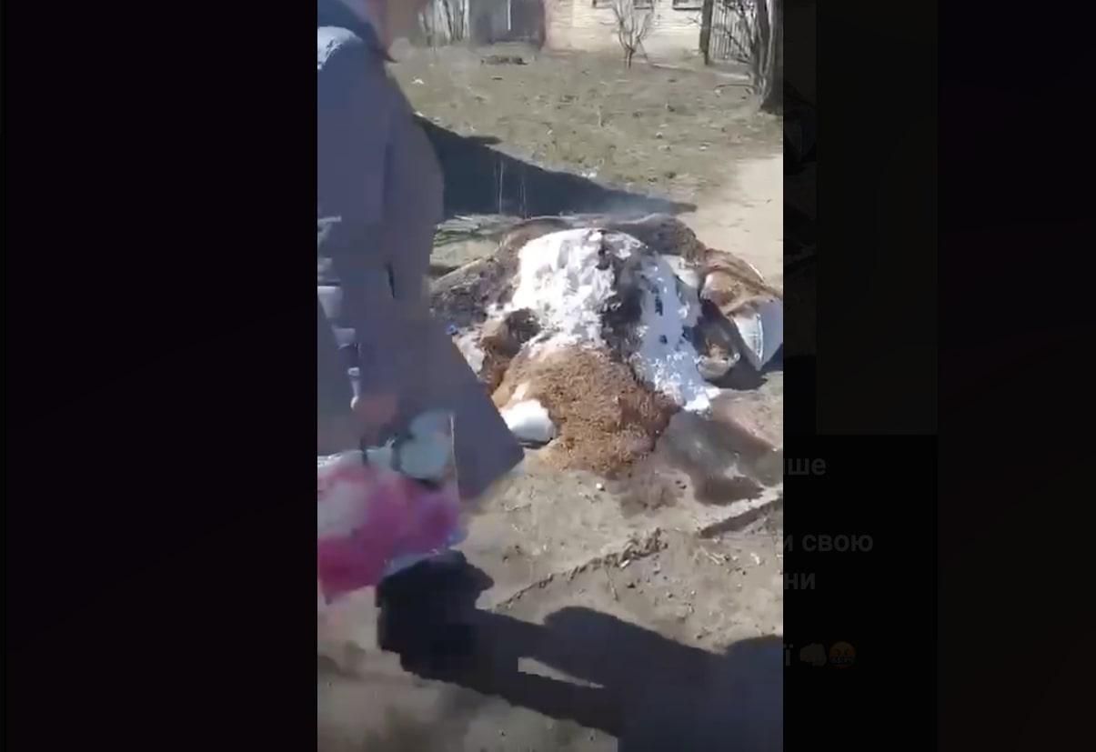 В Чернобаевке жгут не только авиацию, но и "гуманитарку" от оккупантов - 24 Канал В Чернобаевке жгут не только авиацию, но и "гуманитарку" от оккупантов - 24 Канал