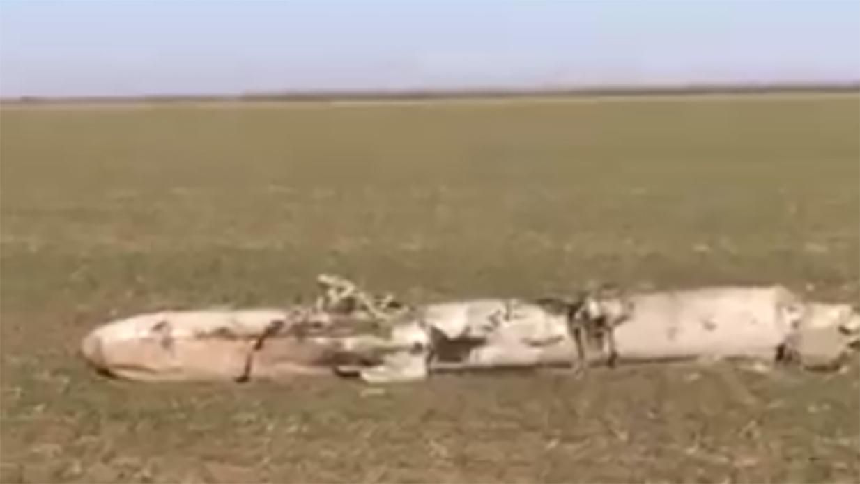 В Николаевской области сбили еще одну крылатую ракету оккупантов В Николаевской области сбили еще одну крылатую ракету оккупантов