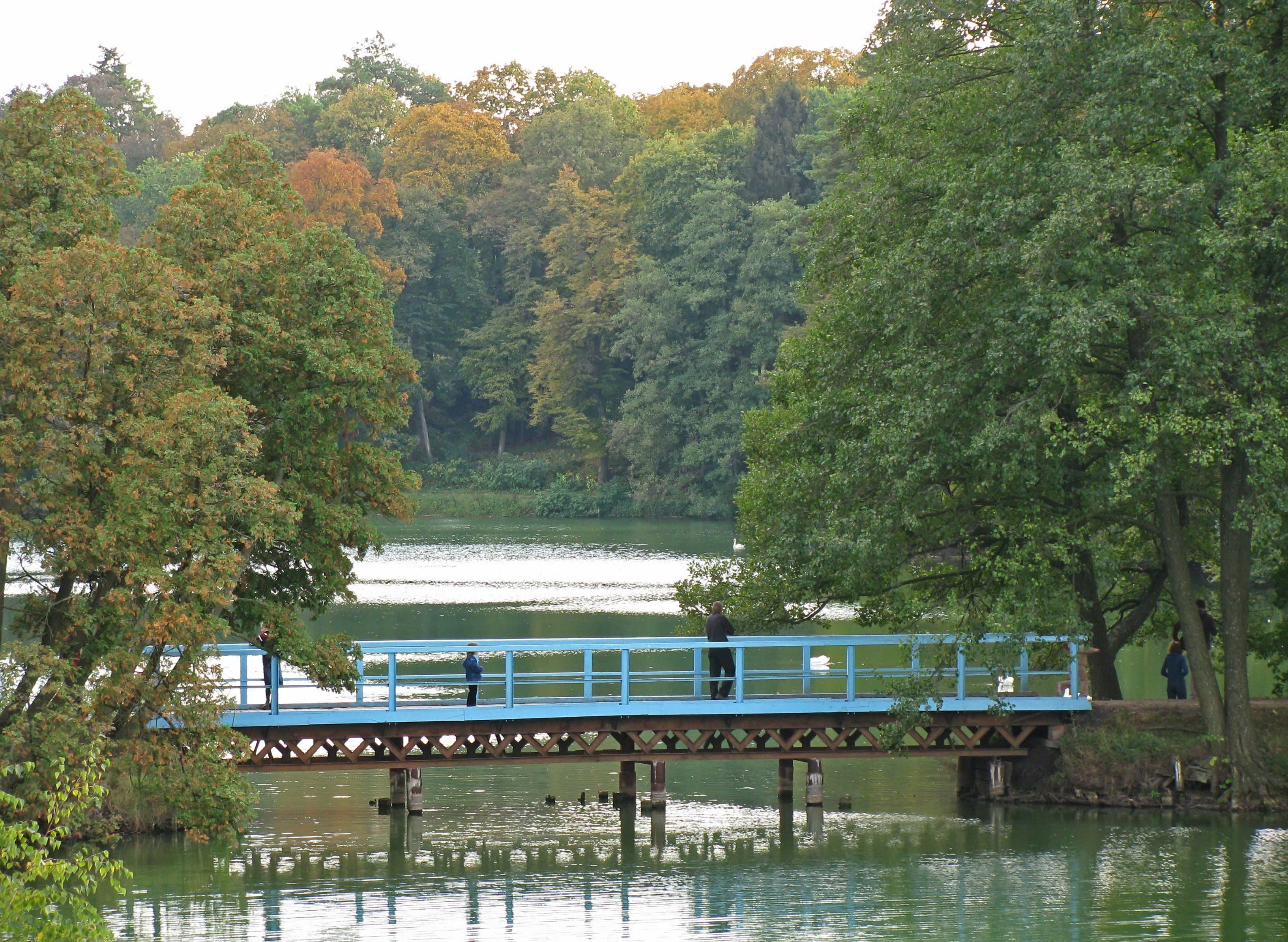 За Тростянець тривають сильні бої, місто тримається з останніх сил, – мер - 24 Канал За Тростянець тривають сильні бої, місто тримається з останніх сил, – мер - 24 Канал