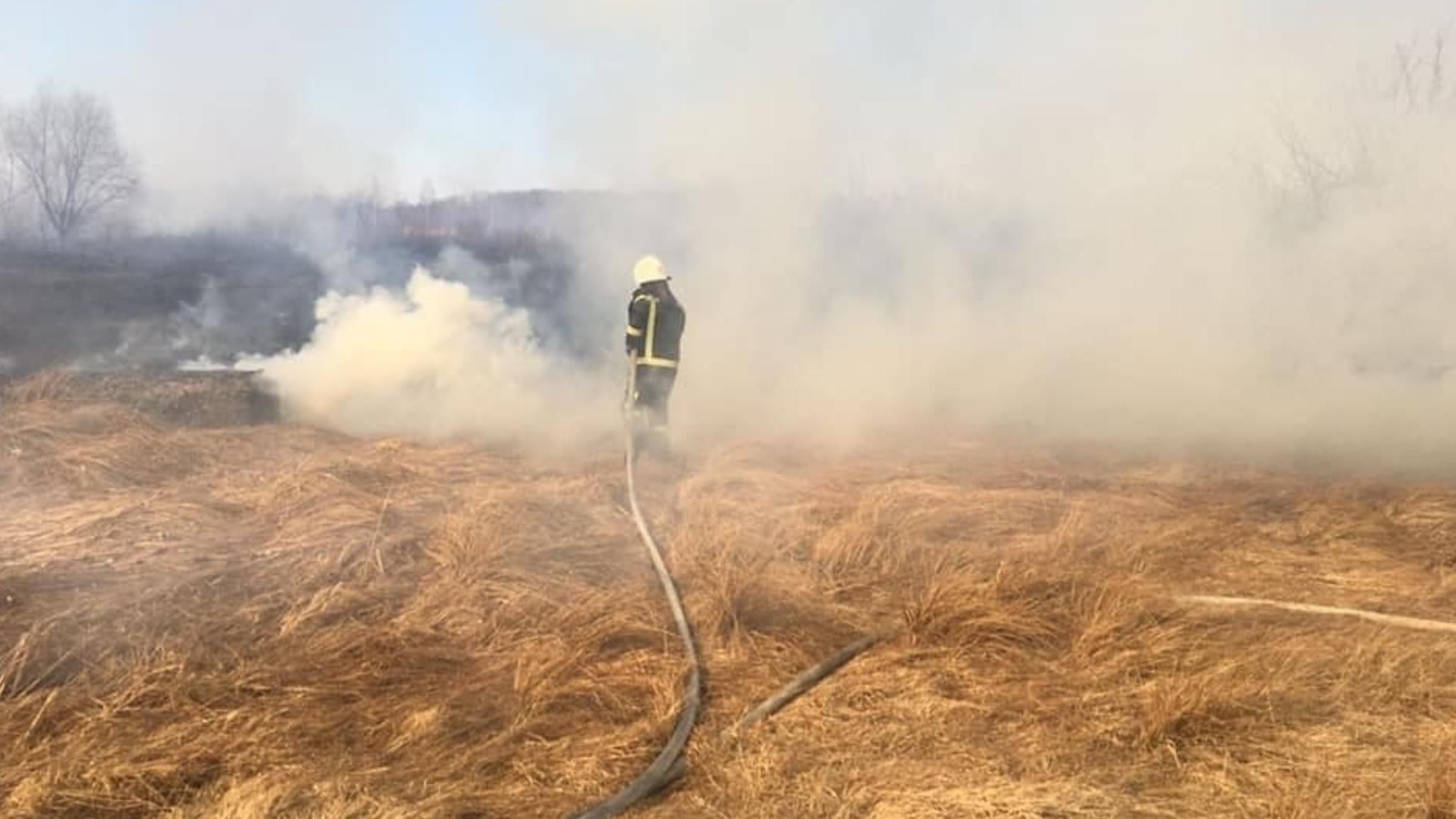 За тиждень на Прикарпатті 3 людей загинули, ще 3 травмовані через паління сухої трави - 24 Канал За тиждень на Прикарпатті 3 людей загинули, ще 3 травмовані через паління сухої трави - 24 Канал
