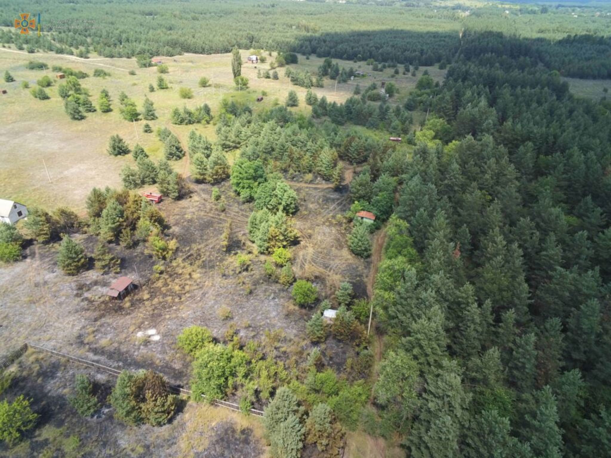 На Луганщині заборонили ходити в ліс до кінця дії воєнного стану - 24 Канал