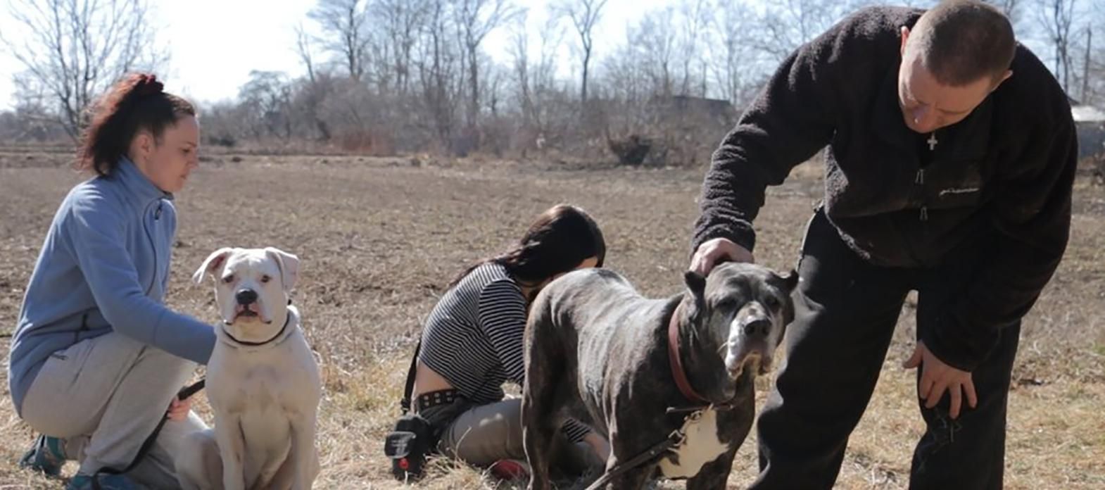 "Убегая от обстрелов, спали в поле": история семьи переселенцев - 24 Канал "Убегая от обстрелов, спали в поле": история семьи переселенцев - 24 Канал