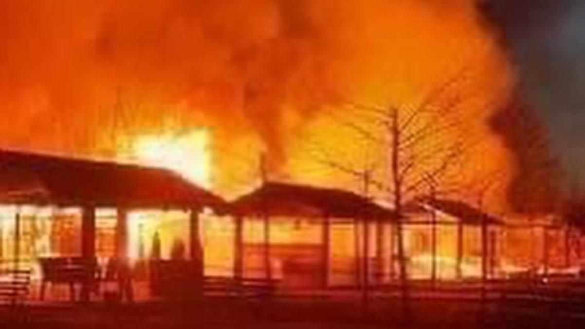 Украинцев просят помочь эвакуировать животных из уничтоженного оккупантами экопарка на Киевщине - 24 Канал Украинцев просят помочь эвакуировать животных из уничтоженного оккупантами экопарка на Киевщине - 24 Канал