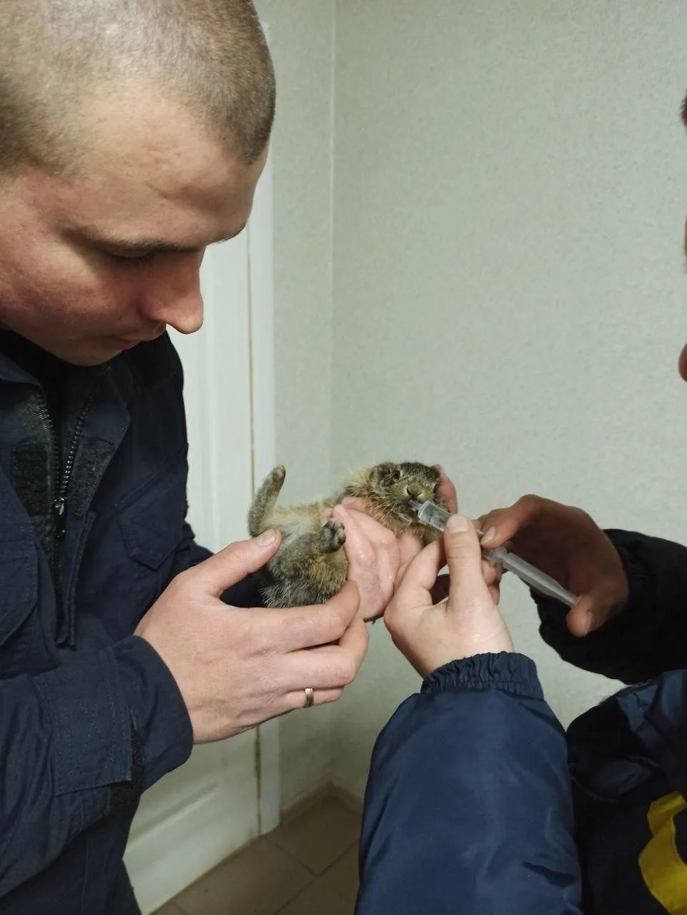 Зайченя врятувалося від вогню