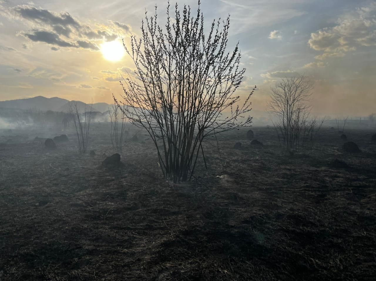 На Закарпатті через підпал трави загинули 2 людини - 24 Канал На Закарпатті через підпал трави загинули 2 людини - 24 Канал
